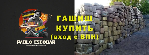 стаф Богданович