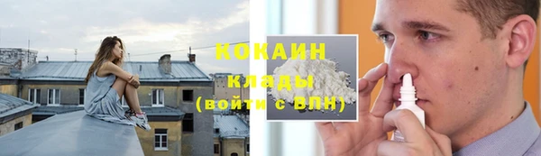 стаф Богданович