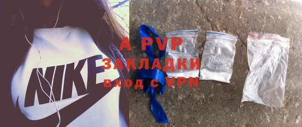 стаф Богданович
