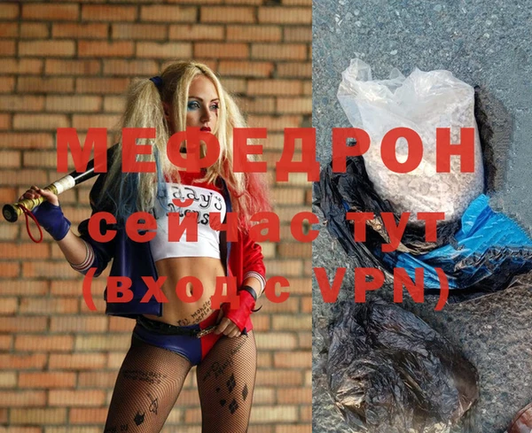 стаф Богданович