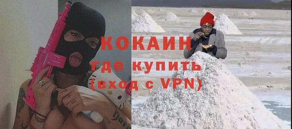 стаф Богданович
