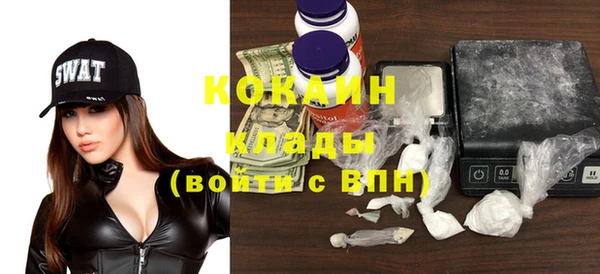 стаф Богданович