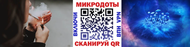 Псилоцибиновые грибы Psilocybine cubensis  где можно купить   Смоленск 